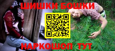 прущие крисы Камышлов
