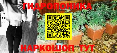 гашишное масло Кандалакша