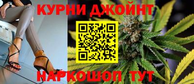 прущие крисы Камышлов
